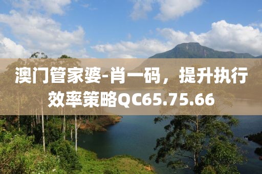 澳门管家婆-肖一码，提升执行效率策略QC65.75.66