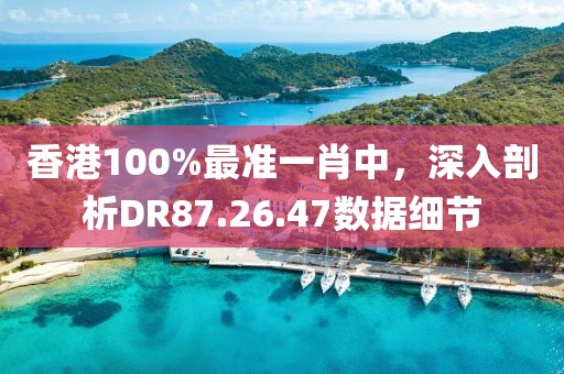 香港100%最准一肖中，深入剖析DR87.26.47数据细节