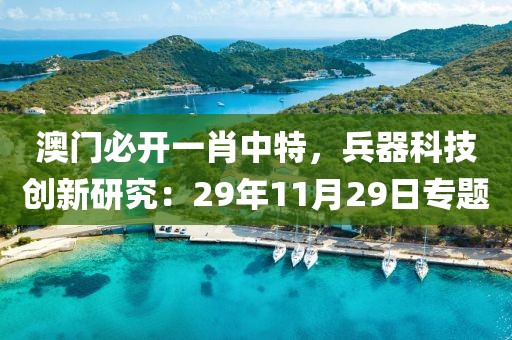 澳门必开一肖中特，兵器科技创新研究：29年11月29日专题