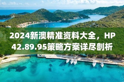 2024新澳精准资料大全，HP42.89.95策略方案详尽剖析