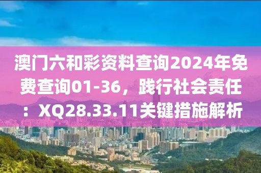 澳门六和彩资料查询2024年免费查询01-36，践行社会责任：XQ28.33.11关键措施解析