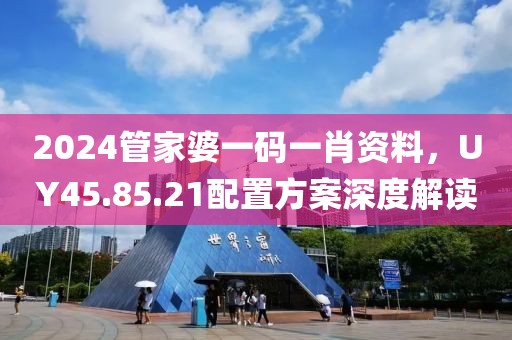 2024管家婆一码一肖资料，UY45.85.21配置方案深度解读