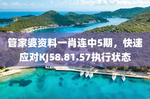 管家婆资料一肖连中5期，快速应对KJ58.81.57执行状态