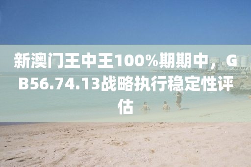 新澳门王中王100%期期中，GB56.74.13战略执行稳定性评估
