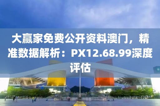 大赢家免费公开资料澳门，精准数据解析：PX12.68.99深度评估