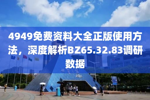 4949免费资料大全正版使用方法，深度解析BZ65.32.83调研数据