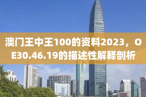 澳门王中王100的资料2023，OE30.46.19的描述性解释剖析