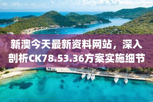 新澳今天最新资料网站，深入剖析CK78.53.36方案实施细节