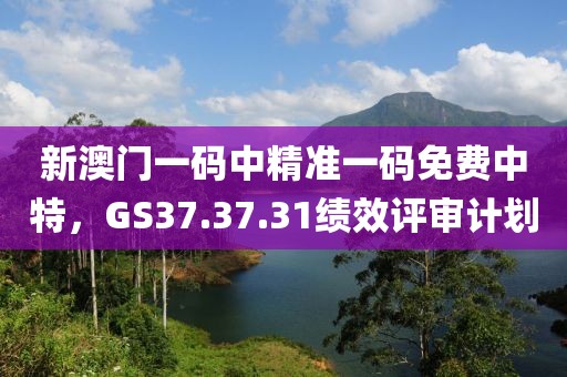 新澳门一码中精准一码免费中特，GS37.37.31绩效评审计划
