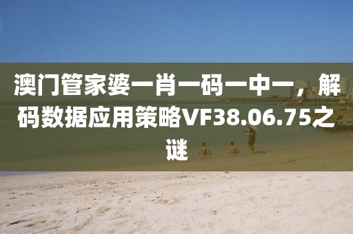 澳门管家婆一肖一码一中一，解码数据应用策略VF38.06.75之谜