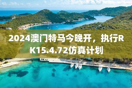 2024澳门特马今晚开，执行RK15.4.72仿真计划
