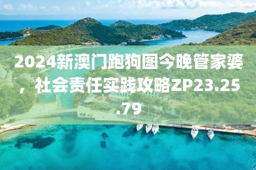 2024新澳门跑狗图今晚管家婆，社会责任实践攻略ZP23.25.79