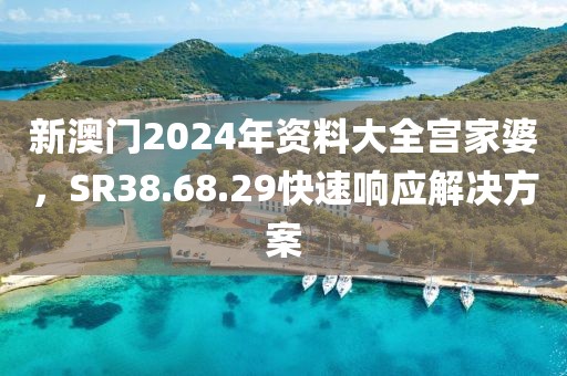 新澳门2024年资料大全宫家婆，SR38.68.29快速响应解决方案