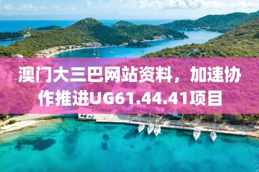 澳门大三巴网站资料，加速协作推进UG61.44.41项目