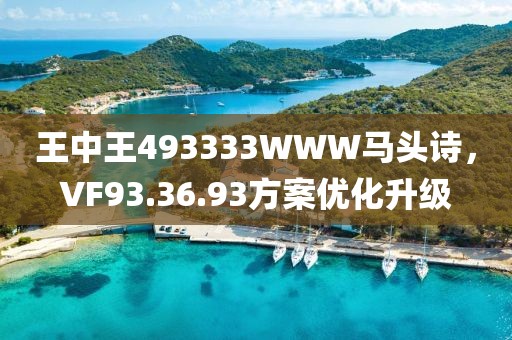 王中王493333WWW马头诗，VF93.36.93方案优化升级