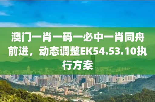 澳门一肖一码一必中一肖同舟前进，动态调整EK54.53.10执行方案