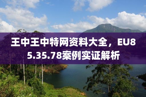 王中王中特网资料大全，EU85.35.78案例实证解析