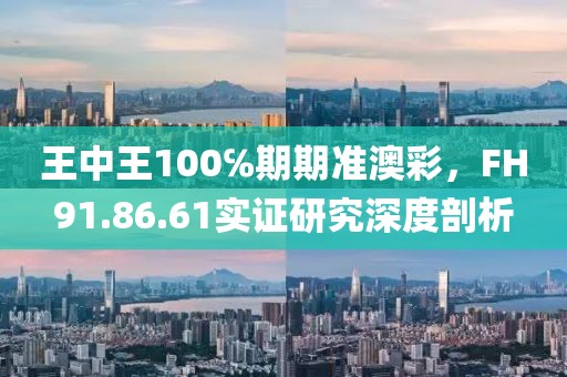 王中王100℅期期准澳彩，FH91.86.61实证研究深度剖析