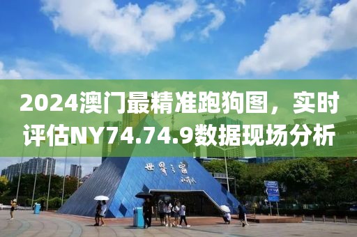 2024澳门最精准跑狗图，实时评估NY74.74.9数据现场分析