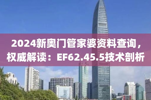 2024新奥门管家婆资料查询，权威解读：EF62.45.5技术剖析