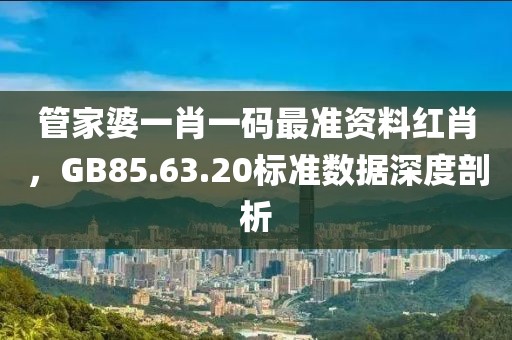 管家婆一肖一码最准资料红肖，GB85.63.20标准数据深度剖析