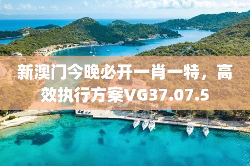 新澳门今晚必开一肖一特，高效执行方案VG37.07.5