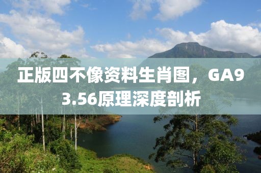 正版四不像资料生肖图，GA93.56原理深度剖析