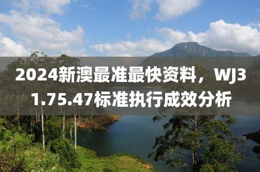 2024新澳最准最快资料，WJ31.75.47标准执行成效分析
