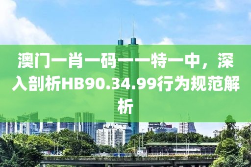 澳门一肖一码一一特一中，深入剖析HB90.34.99行为规范解析