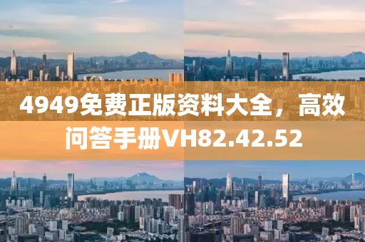 4949免费正版资料大全，高效问答手册VH82.42.52