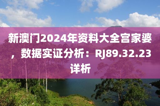 新澳门2024年资料大全宫家婆，数据实证分析：RJ89.32.23详析
