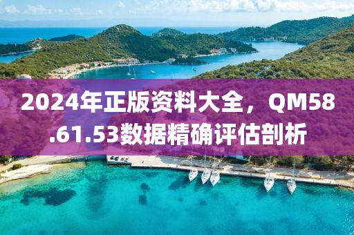 2024年正版资料大全，QM58.61.53数据精确评估剖析