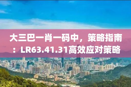 大三巴一肖一码中，策略指南：LR63.41.31高效应对策略