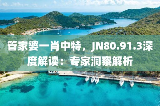 管家婆一肖中特，JN80.91.3深度解读：专家洞察解析