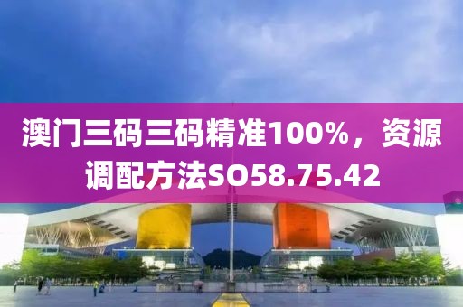 澳门三码三码精准100%，资源调配方法SO58.75.42