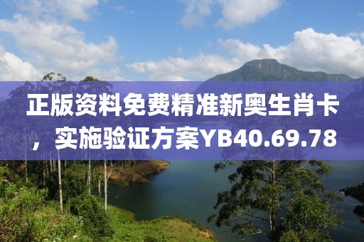 正版资料免费精准新奥生肖卡，实施验证方案YB40.69.78