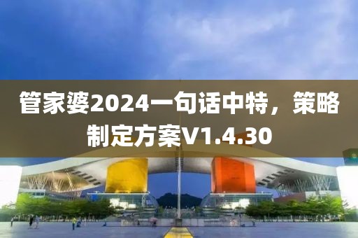 管家婆2024一句话中特，策略制定方案V1.4.30