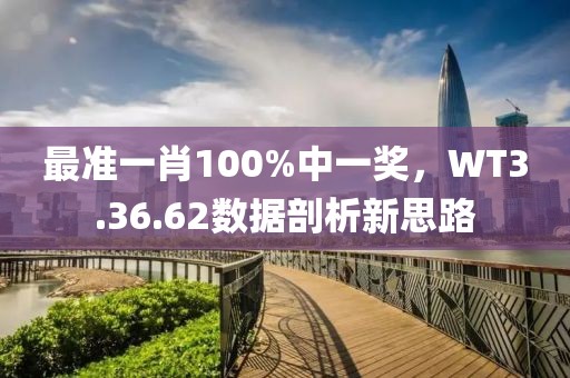 最准一肖100%中一奖，WT3.36.62数据剖析新思路