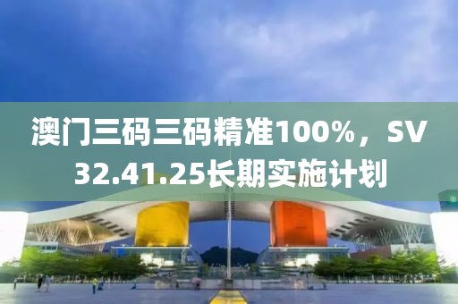 澳门三码三码精准100%，SV32.41.25长期实施计划