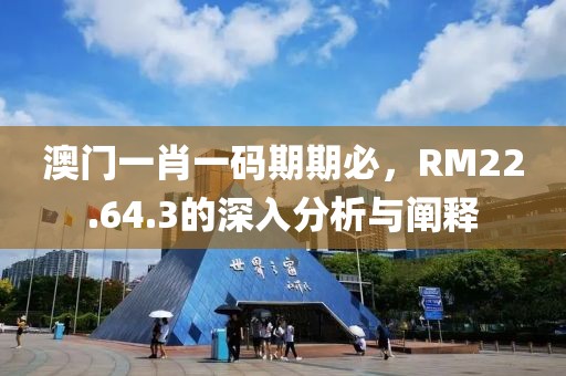 澳门一肖一码期期必，RM22.64.3的深入分析与阐释