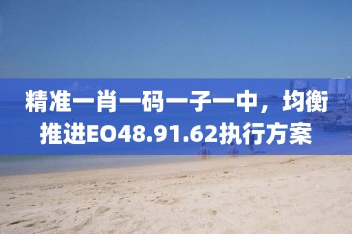 精准一肖一码一子一中，均衡推进EO48.91.62执行方案