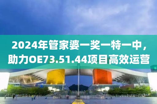 2024年管家婆一奖一特一中，助力OE73.51.44项目高效运营