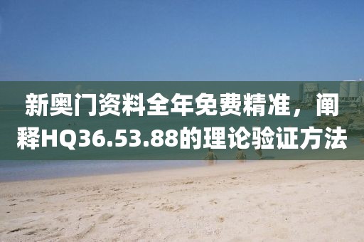 新奥门资料全年免费精准，阐释HQ36.53.88的理论验证方法