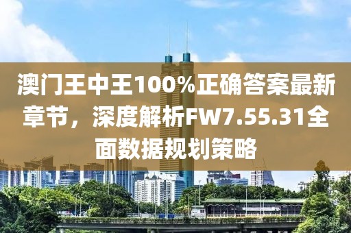 澳门王中王100%正确答案最新章节，深度解析FW7.55.31全面数据规划策略