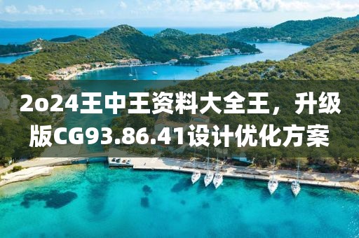 2o24王中王资料大全王，升级版CG93.86.41设计优化方案