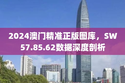 2024澳门精准正版图库，SW57.85.62数据深度剖析