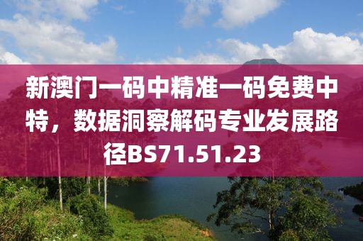 新澳门一码中精准一码免费中特，数据洞察解码专业发展路径BS71.51.23