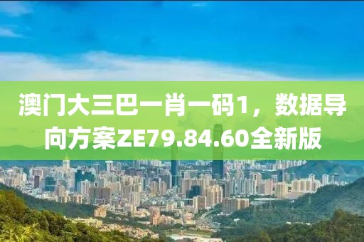 澳门大三巴一肖一码1，数据导向方案ZE79.84.60全新版
