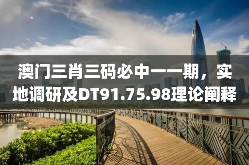 澳门三肖三码必中一一期，实地调研及DT91.75.98理论阐释