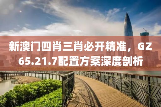 新澳门四肖三肖必开精准，GZ65.21.7配置方案深度剖析